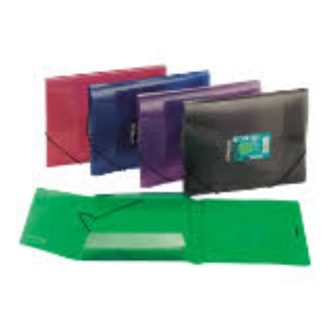 Foldermate Action Case A4 Ast Bx=25pc -PG FE-612-ASS